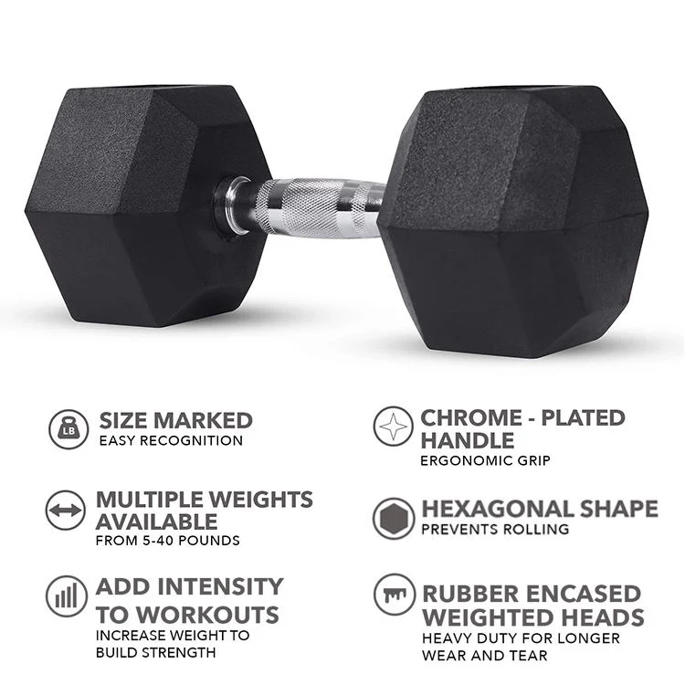 Wholesale Gym Equipment Weight Dumbbells/Lb Hex Dumbbell with Best Price