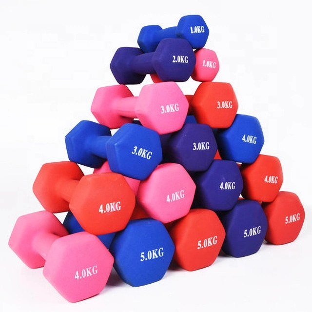 Small Hex Dumbbell Gym Accessories Vinyl Dumbbell Free Weight