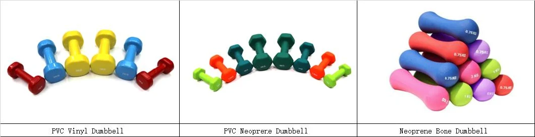 Hot Sell Dodecagon Rubber Coated Dumbbell