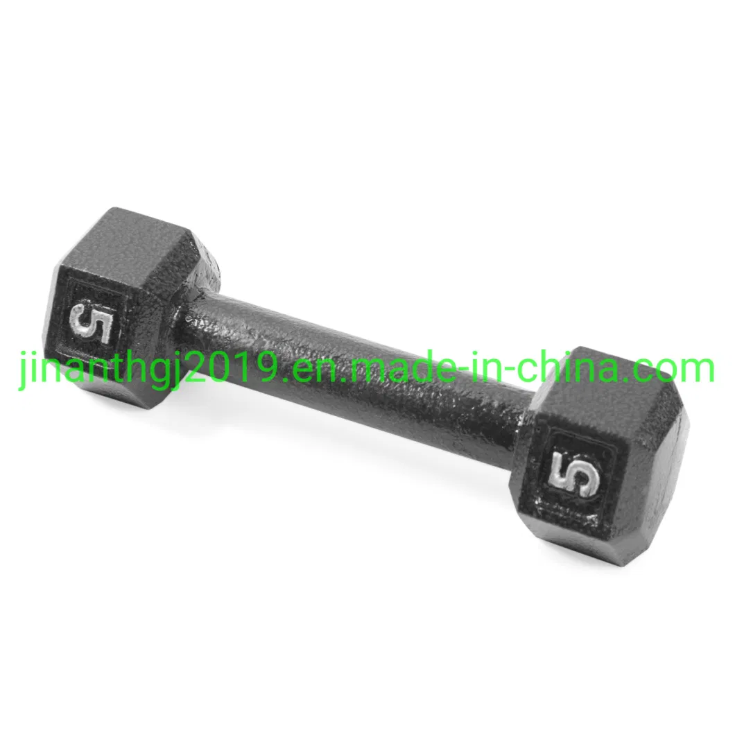 Rubber Coated Hex Casting Iron Dumbbell for Gym Workout Family Exercise