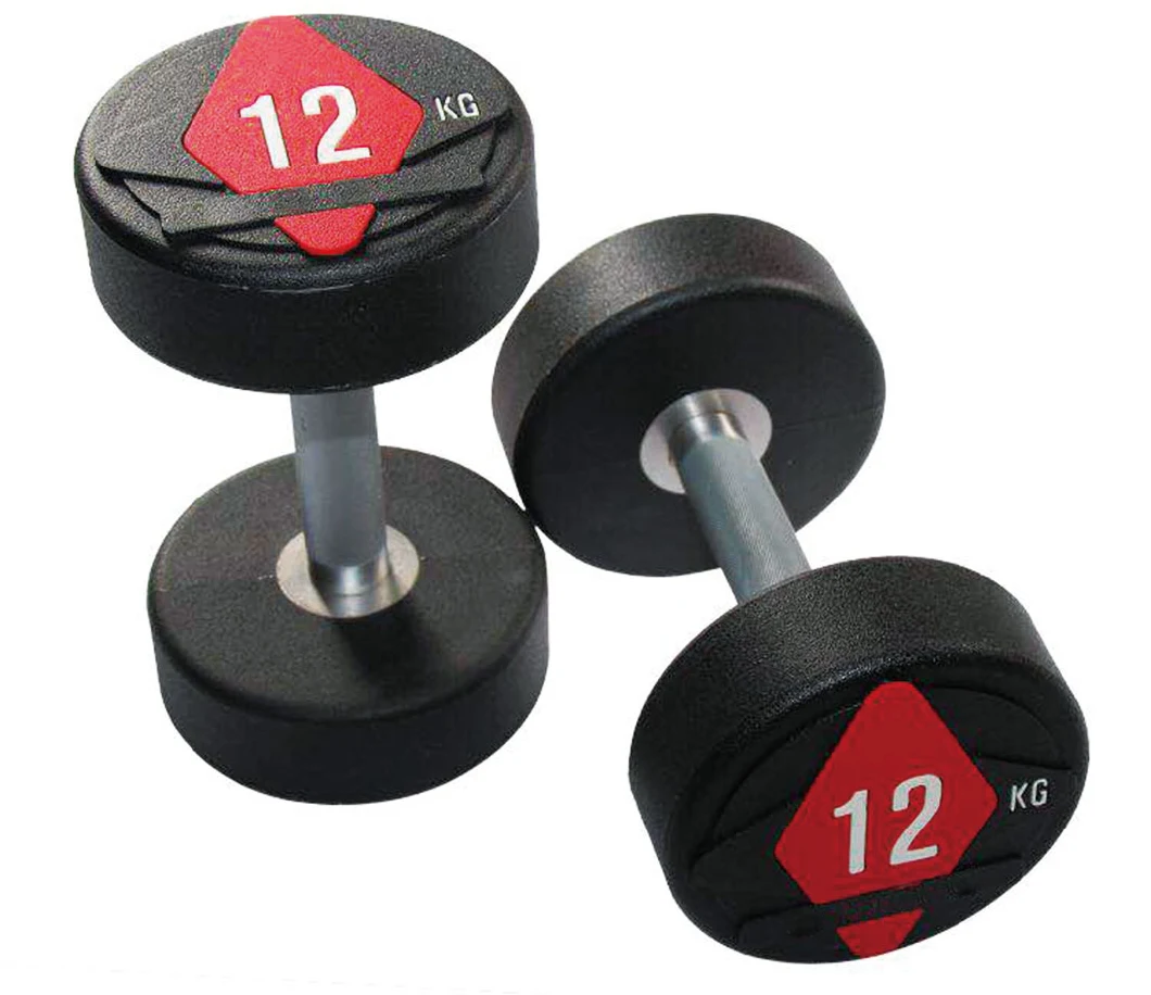 Professional Gym Fitness Equipment Round Head Rubber Coated Dumbbell