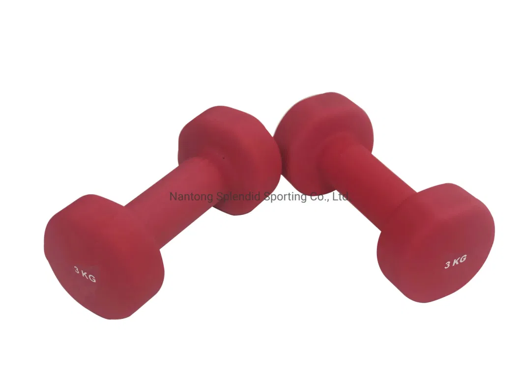 Special Body Pesas De Gym Fitness Equipment Gym High Quality Neoprene Dumbbell Dumbbell Set