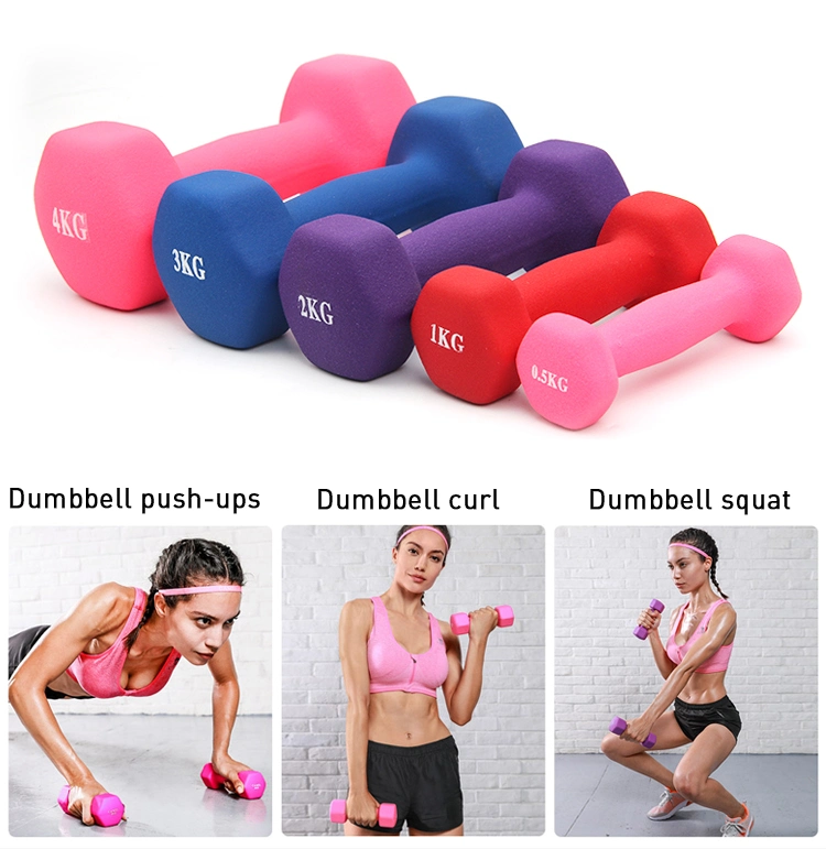 2lbs 3lbs 5lbs Customized Neoprene Gym Dumbbell Set with Stand
