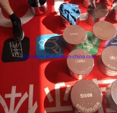 Logo personalizzato 2.5kg 80kg Home commerciale Dumbbells in acciaio inox