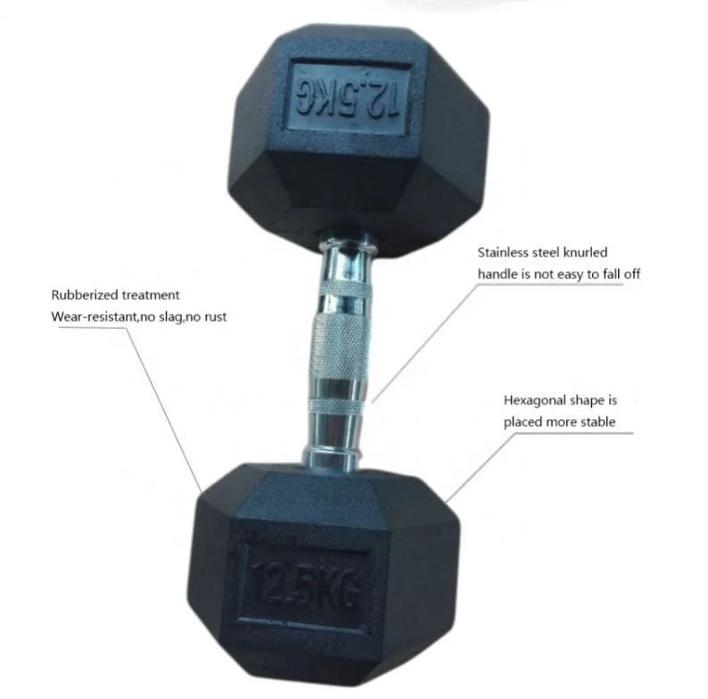 China Manufacturer Free Weight Gym Set Metal Handle Cast Iron Rubber Hex Dumbbell