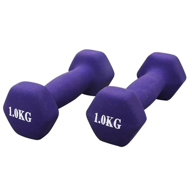 Exercise Workout Dummbells Barbell Neoprene Dumbbell Hand Weights, Anti-Slip, Anti-Roll