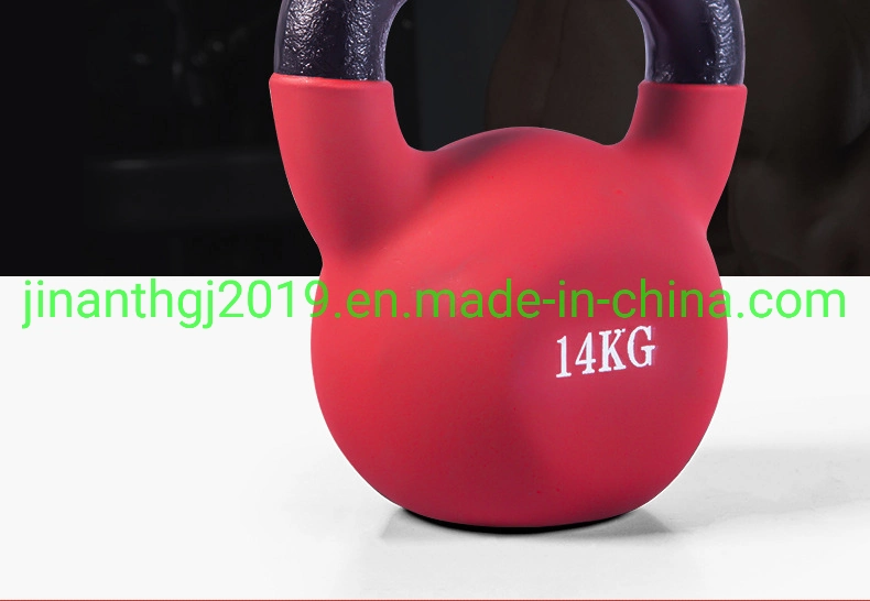 China Professional Exercise Gym or Fitness Use Dumbbell