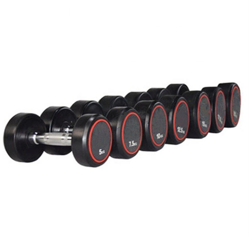 Cast Iron Fitness Equipment Round Rubber Rubber Top Grade Home Exercise Equipment Round Dumbbells Set for Sale