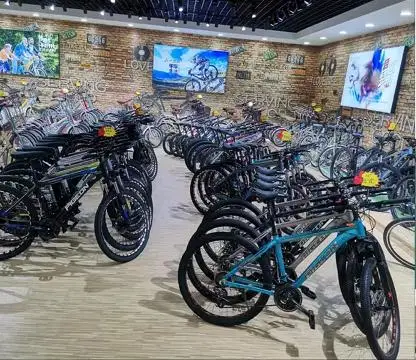 China Wholesale Spoked Wheel Carbon Steel Frame Fork Suspension Mountain Bike
