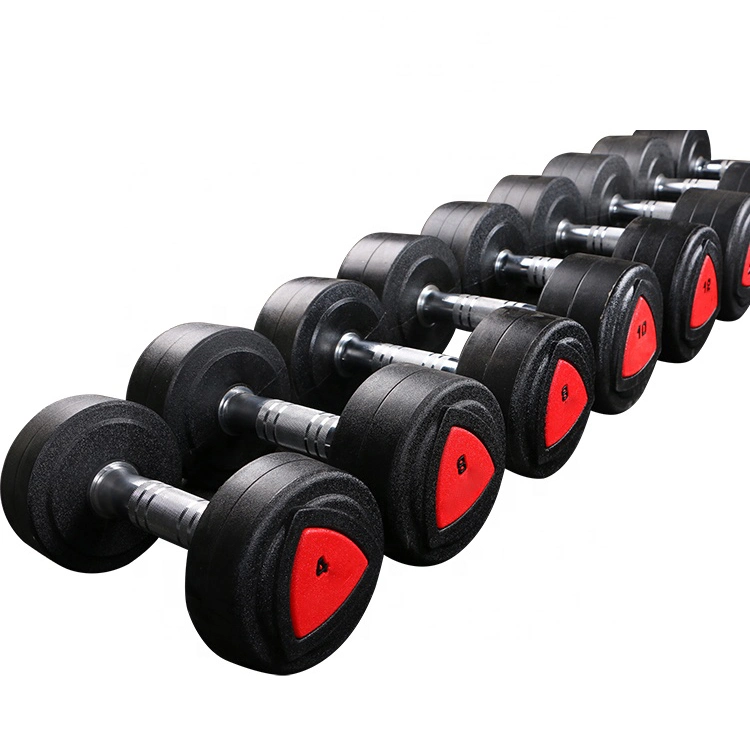 Hot Sale Arm Exercise Free Weight PU Dumbbell Gym Accessories