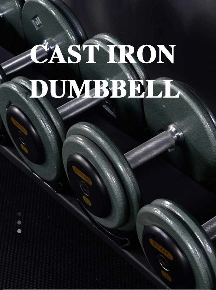 Handles Cheap Paint Dumbbell Set Gym Equipment Cast Iron Dumbbell