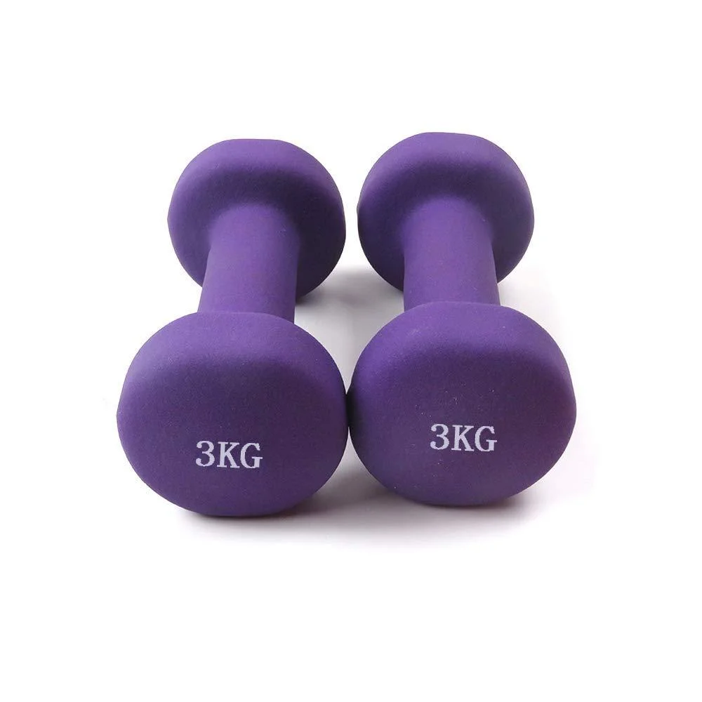 The Dumbbell Set Gym Equipment Casting Iron PVC Wholesale Free Weights Round Dumbbells