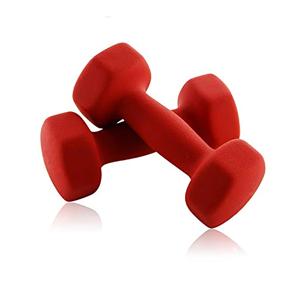 Quality Exercise Equipment Dumbles Weight Lifting Dumbbells Free Weights Pesas Neoprene Coated Mancuerna Gym Hexagonal Dumbells