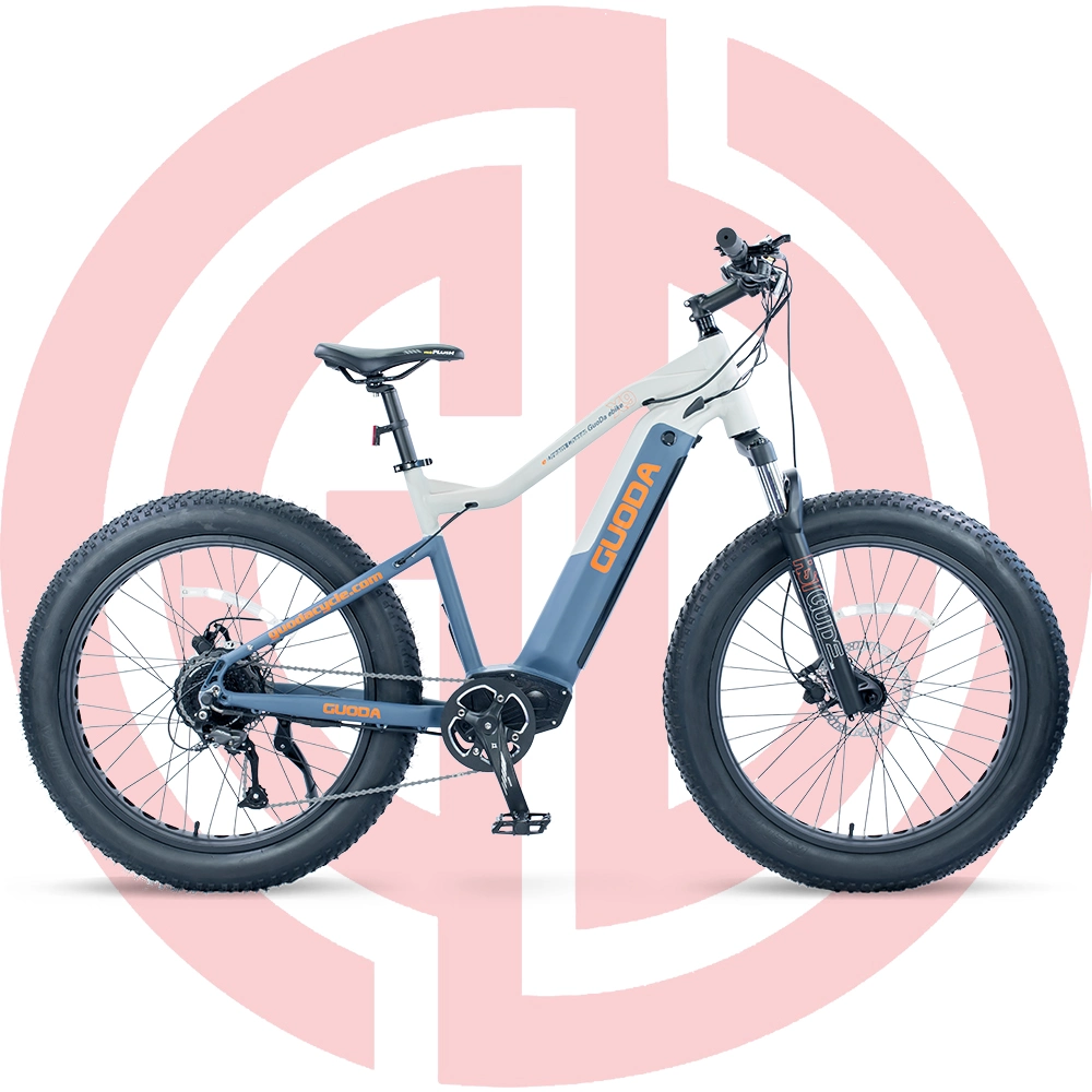 26 Inches Latest E-Bike with Alloy Frame 9s Electric Bicycle