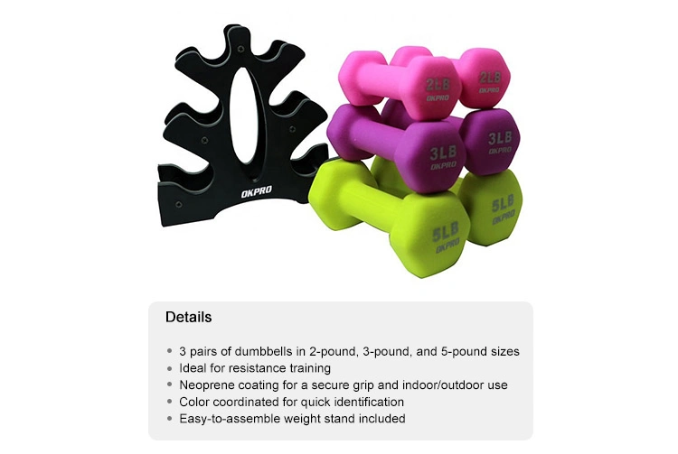 Gym Buy Cheap Weights Fitness Colorful Neoprene Coated Hex Dumbbell Set for Sale