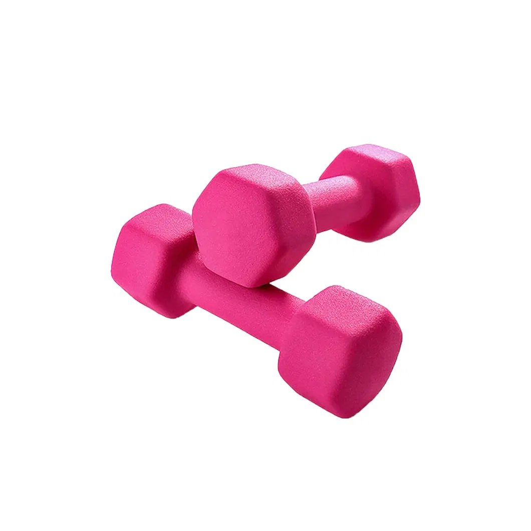 High Quality Customized Adjustable Dumbbell Neoprene Pesas Vinly Dumbbell Set Gym Dumbells Hex Dumbbell Set