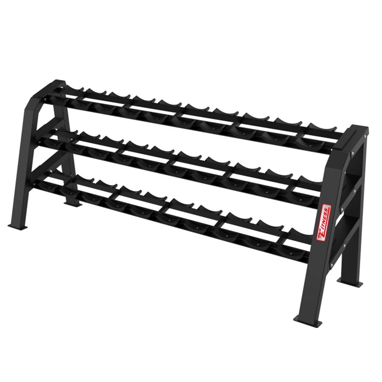 China Professional Complete Indoor Gym Club Fitness Ggc-5045 Dumbbell Rack Commercial Gym Equipment