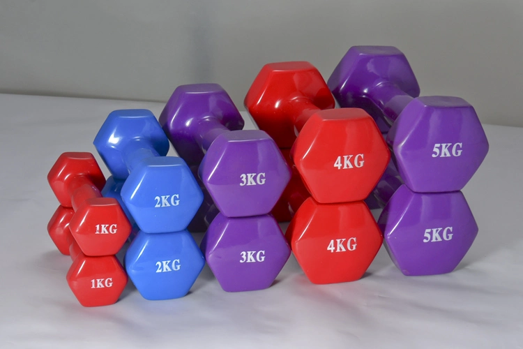 Dumbbells Vinyl Coated Multi Color Hand Weight Dumbbell for Strength Training