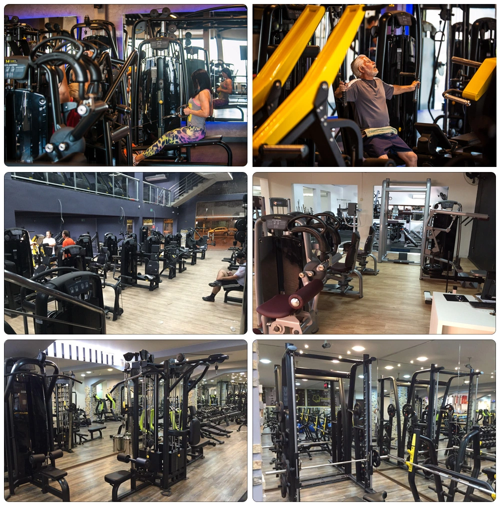 China Professional Complete Indoor Gym Club Fitness Ggc-5045 Dumbbell Rack Commercial Gym Equipment