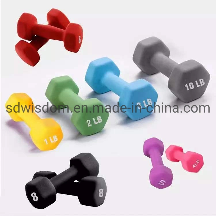 Home Gym Fitness Accessories Adjustable 10kg Neoprene Dumbbells with Rack for Woman Exercise