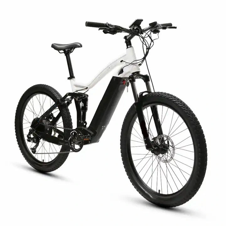 2023 MID Drive High Range Adult 1000W Lithium Electric Bike Electrical Bicycles Battery Ebike