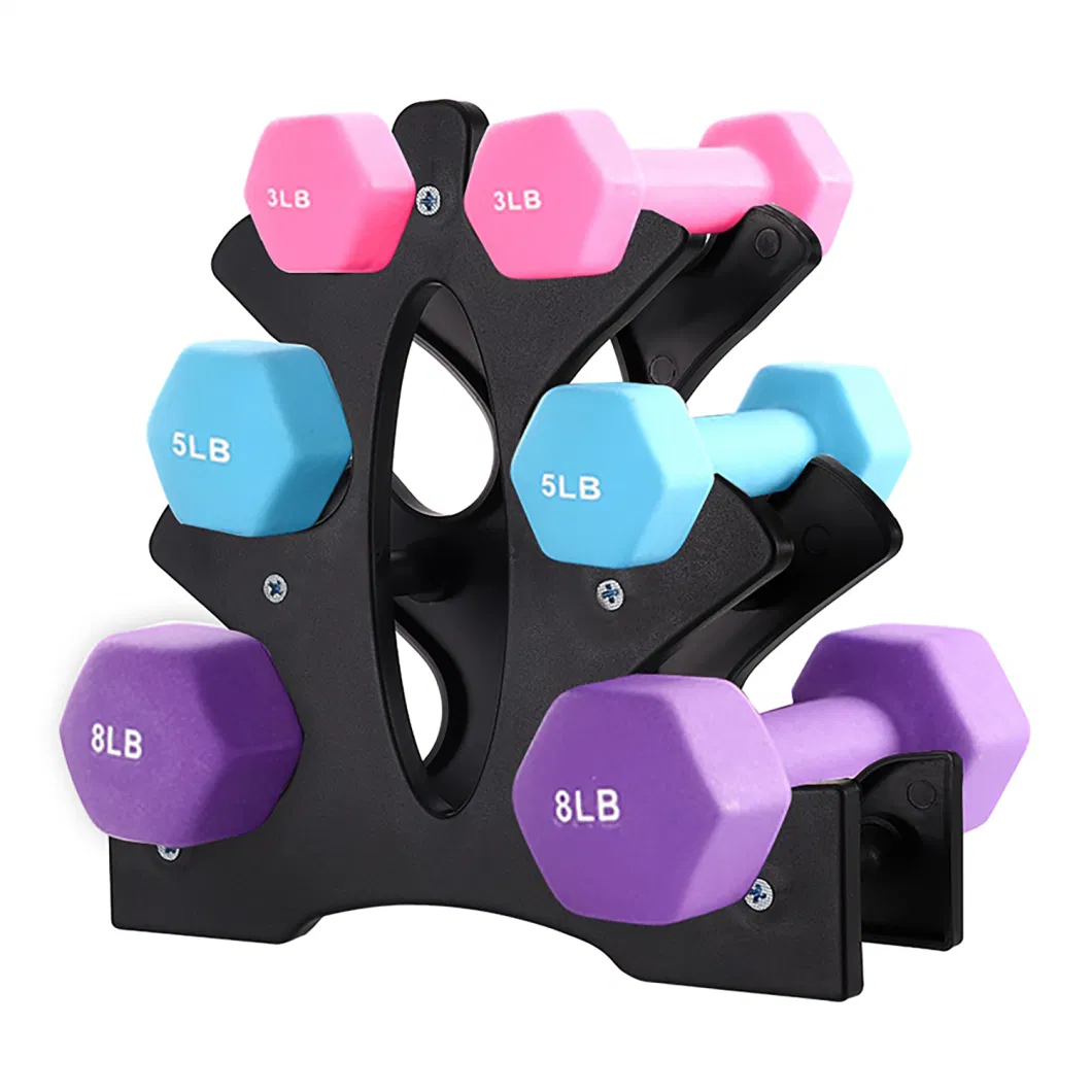 Home Exercise Dumbbell with Different Color Body Workout