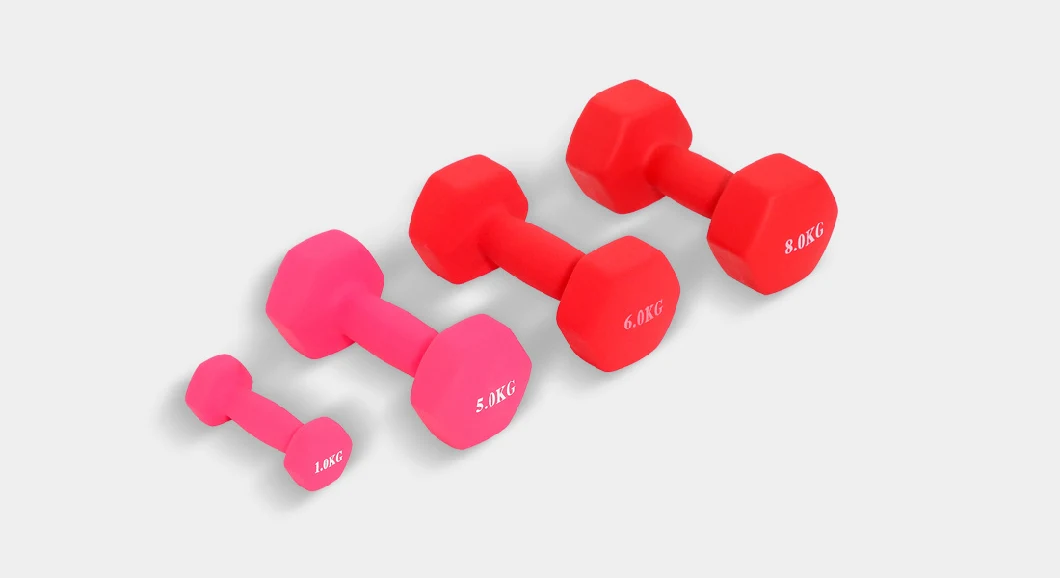 Fitness Room Adjustable Cast Iron Weights Dumbbell with Storage Box