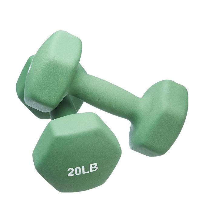 Neoprene Coated Dumbbell Set for Home Gym Workout