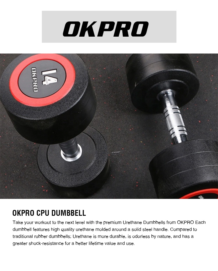 Factory Supplier Dumbbell Set Gym PU Dumbbell