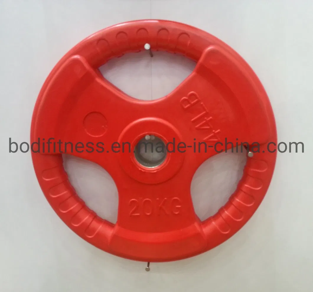 Gym Dumbbell Equipments Weight Lifting Plates Color Rubber Plate