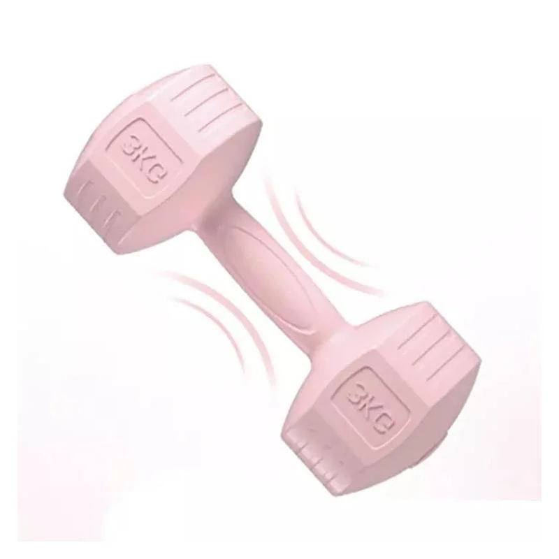 Small Dumbbells in The Home Gym for Women&prime;s Fitness Dumbbells