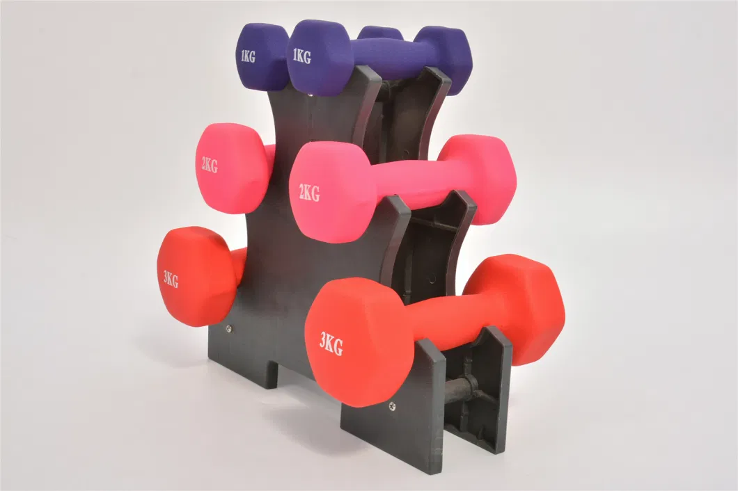 Dumbbells Vinyl Coated Multi Color Hand Weight Dumbbell for Strength Training