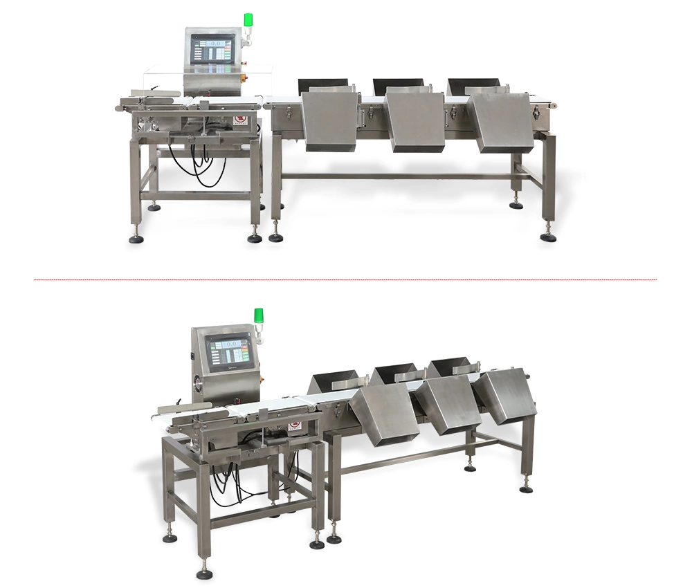 Automatic Convey Belt Weight Scale Weight Sorting Machine for Seafood