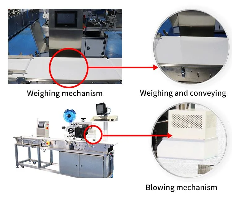 Automatic Inkjet Printing Weight Check High Accuracy Weighing Jet Printer