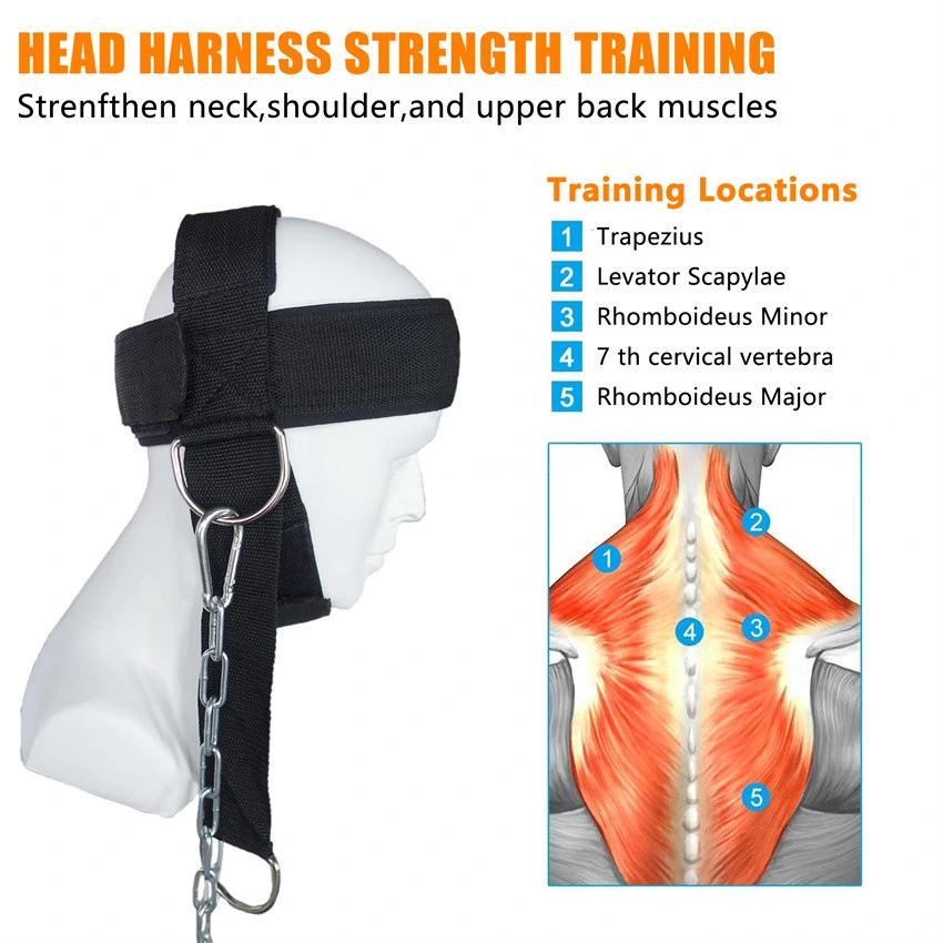 Adjustable Strap Body Building Neoprene Head Harness Weight Lifting Strap with Chain with Adjustable Straps