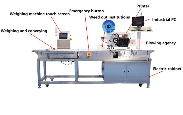 Automatic Inkjet Printing Weight Check High Accuracy Weighing Jet Printer