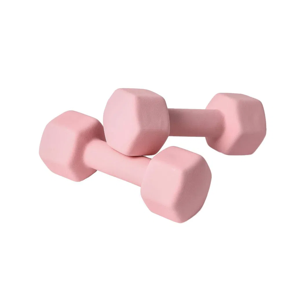 High Quality Customized Adjustable Dumbbell Neoprene Pesas Vinly Dumbbell Set Gym Dumbells Hex Dumbbell Set