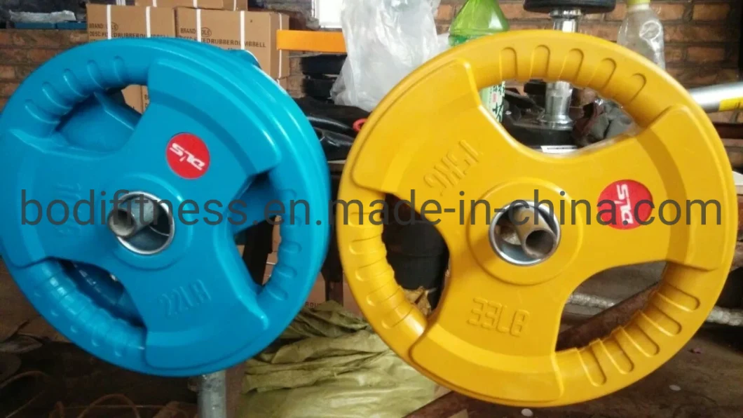 Gym Dumbbell Equipments Weight Lifting Plates Color Rubber Plate