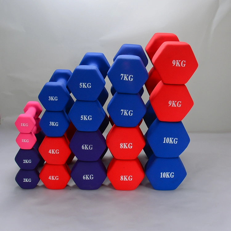 Small and Good-Looking Vinyl Coated Gym Dumbbell Neoprene Dumbbells 10kg Dumbbell Set