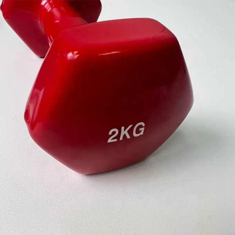 Hot Sale Vinyl Coated Cast Iron Dumbbell