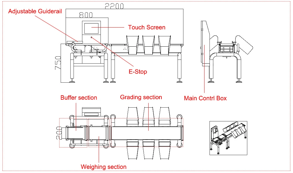 Automatic Convey Belt Weight Scale Weight Sorting Machine for Seafood