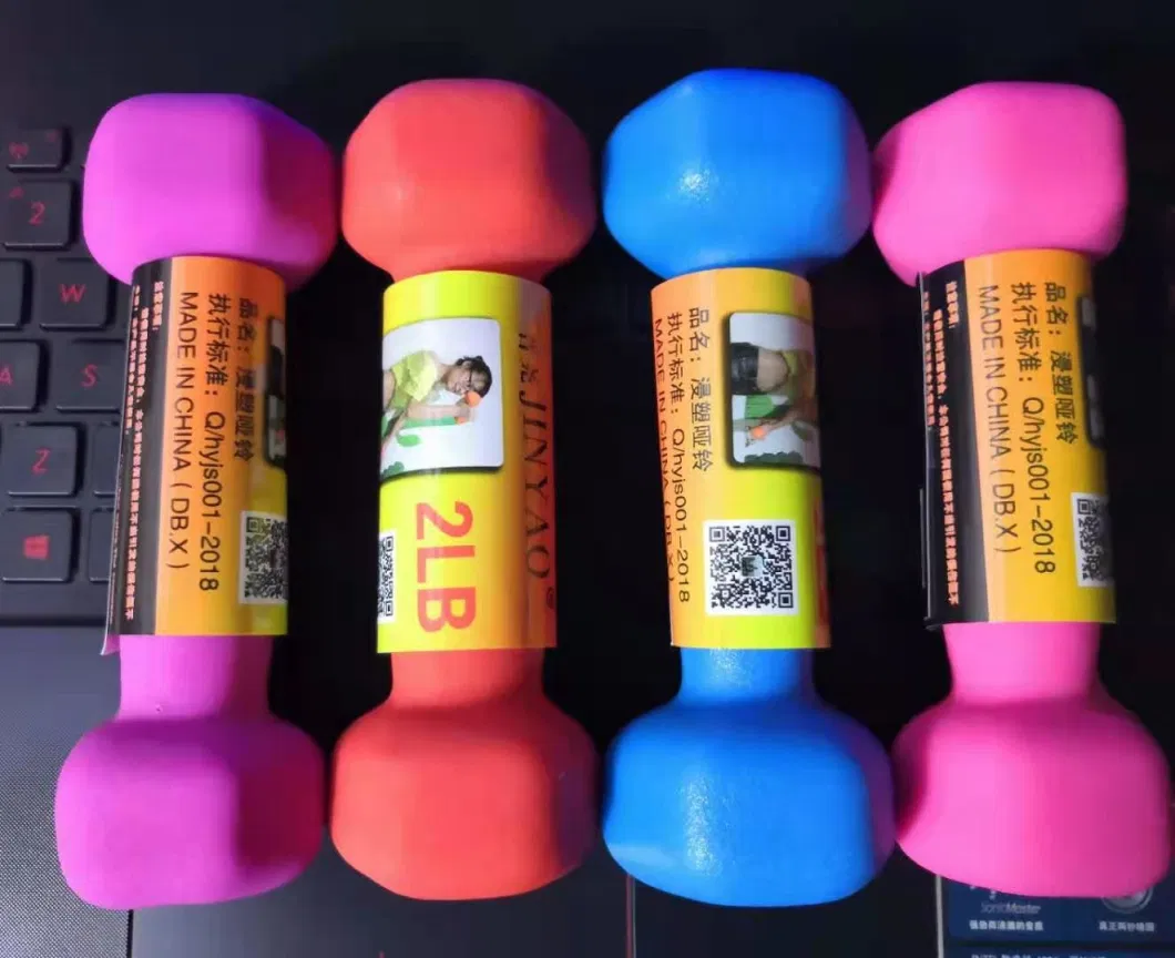 Plastic DIP in Dumbbell for Women Fitness