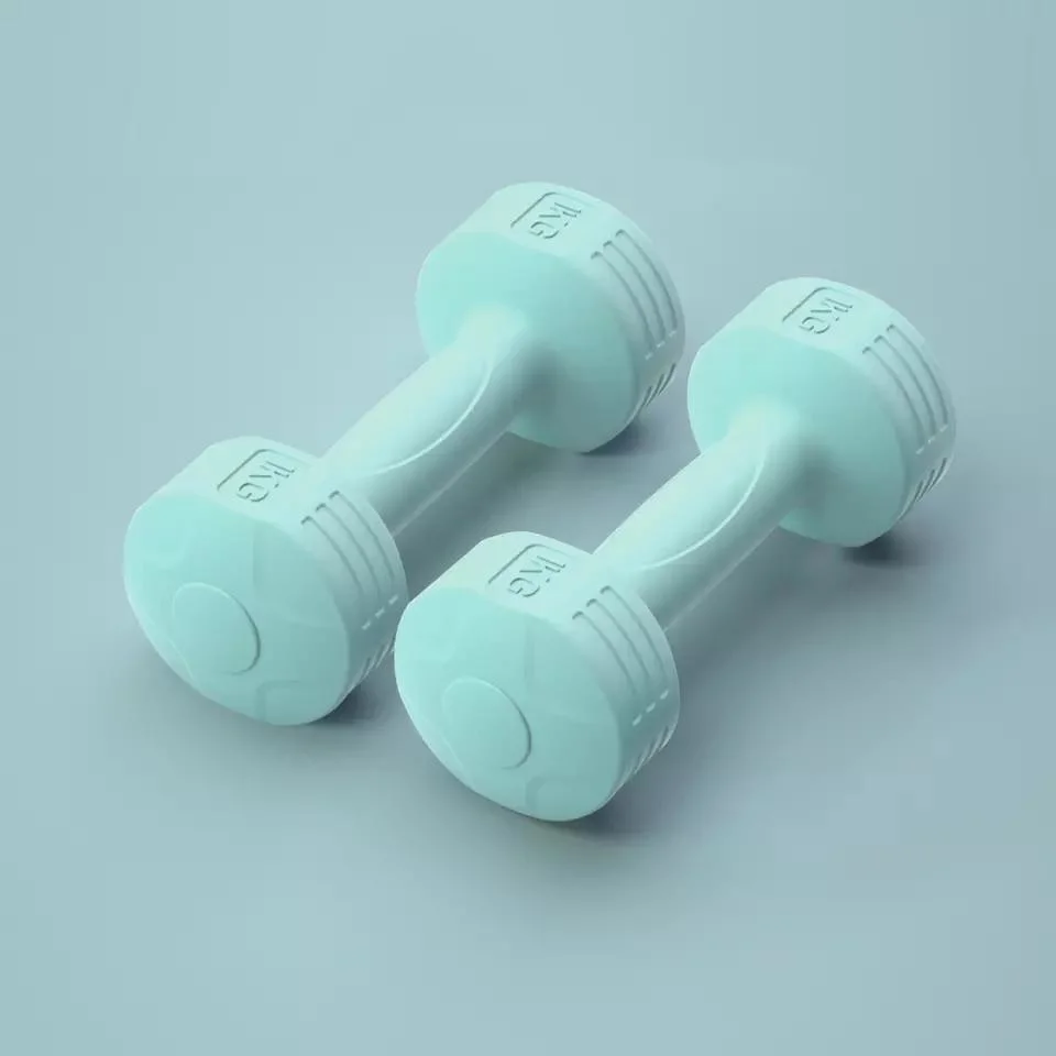 Small Dumbbells in The Home Gym for Women&prime;s Fitness Dumbbells