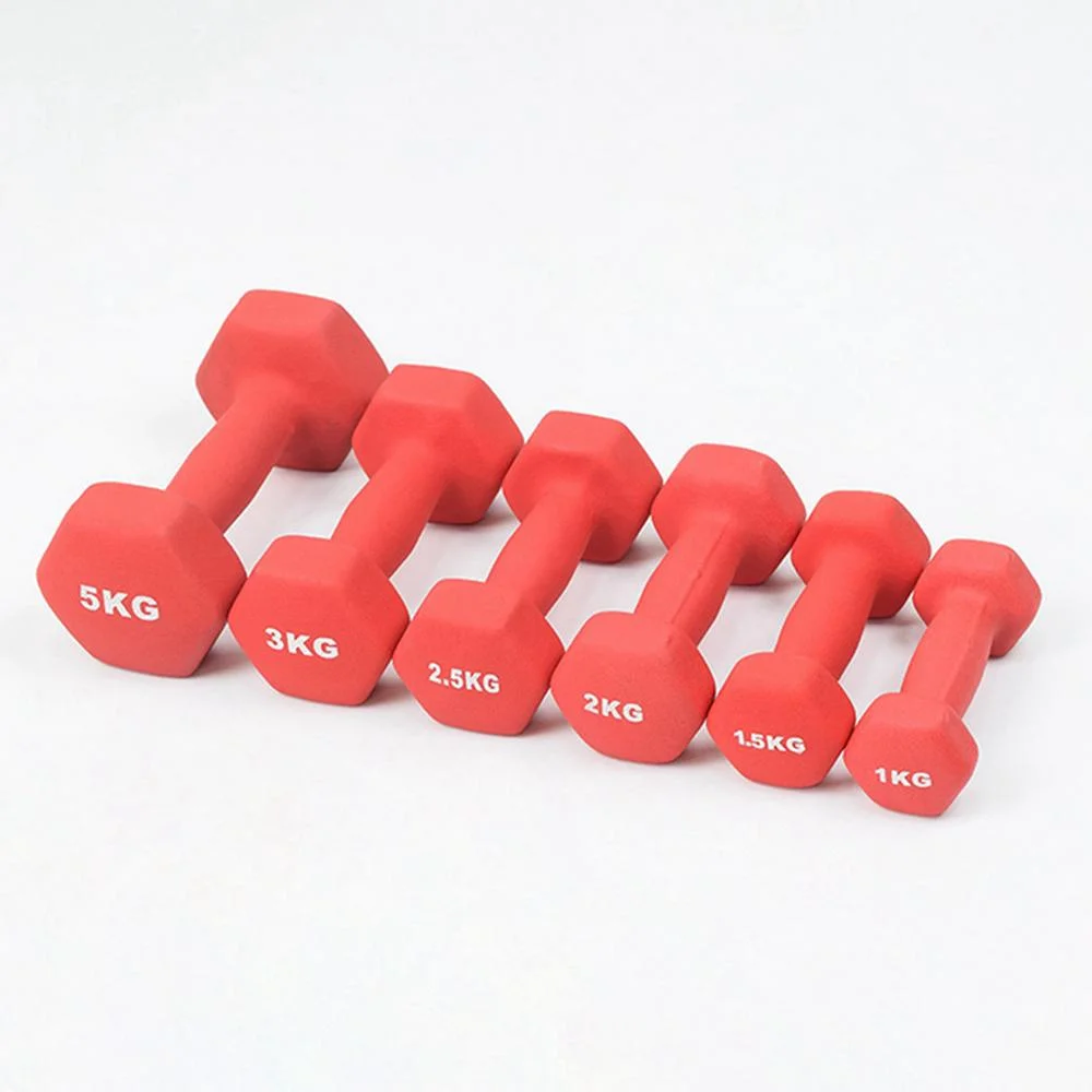 Fitness Building Wholesale Sport Dumbbell Women Colorful Hex Hand Weight Dumbbell Set