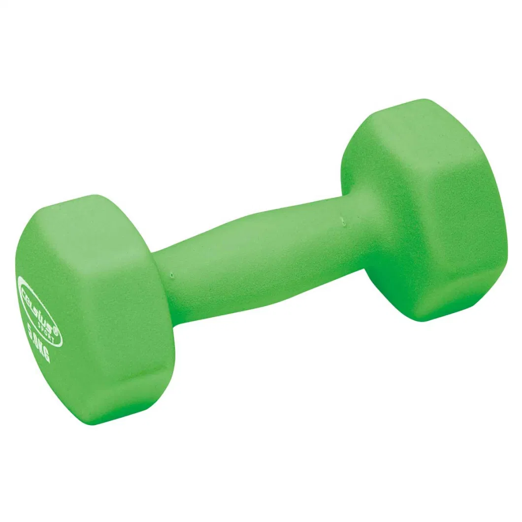 Fitness Vinyl Dipping /Neoprene Dumbbell