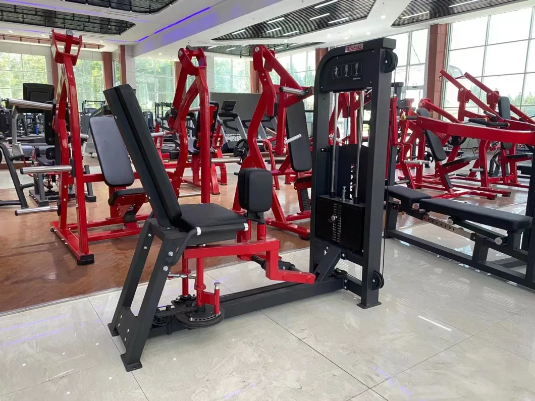 China Professional Complete Indoor Gym Club Fitness Ggc-5045 Dumbbell Rack Commercial Gym Equipment