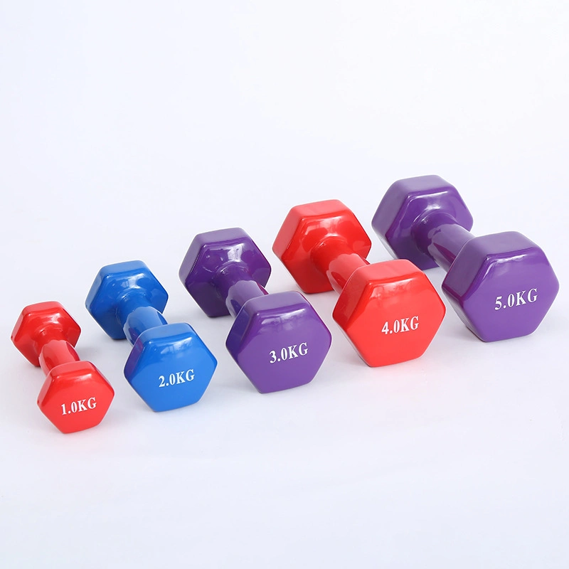 Dumbbells in Different Weight 0.5kg, 1kg, 2kg, 3kg, 4kg, 5kg Wholesale Price for Home Gym Fitness