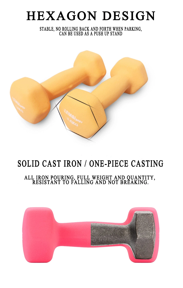 Custom Logo Factory Wholesale Gym Equipment 1kg 2kg 3kg, 9kg, 10kg Hex Color Dumbbell