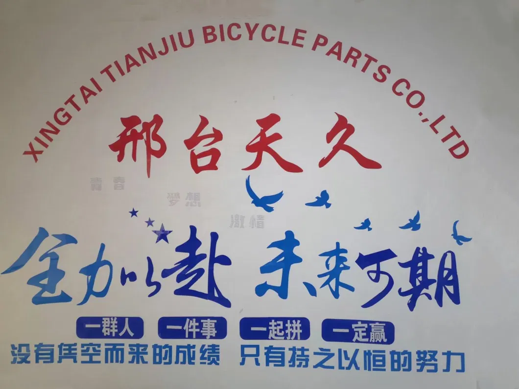 Fixed China City Bike Bicycle Parts Handle Bar Handlebar