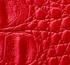  Solvent Red 111 (MACROLEX RED G, KAYASET RED G)
